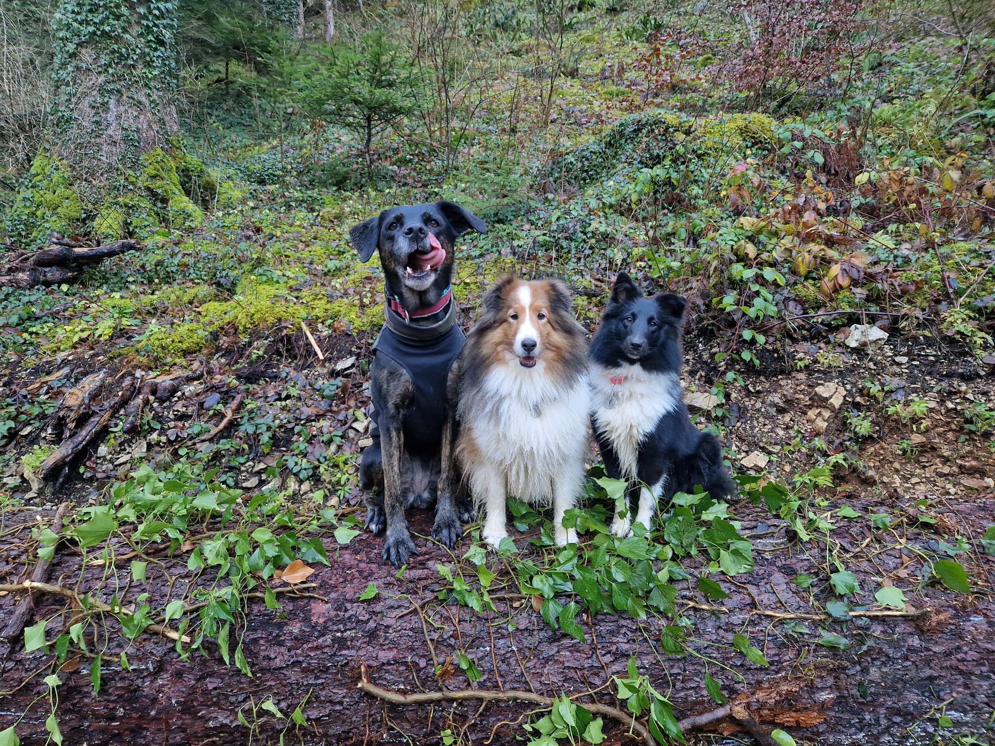 Start page image for sales-partner's sales-channel